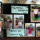 카페카리스 네이버블로그