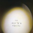 피부랑속눈썹이랑 | 하단 속눈썹연장 잘하는곳, 빛나는속눈썹왁싱피부 LC컬 스모키연장 후기