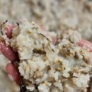 이태원 치킨 이미지