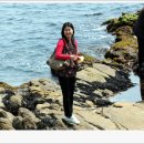 새천년도로 이미지