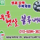 상근농장 이미지