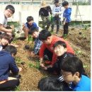 학교농장 이미지