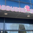 뚜드림 안동점 이미지