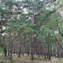 인제백담사십이선녀펜션 이미지