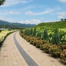 옥천공원 이미지