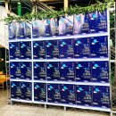 국악 샌드매지컬 - 청산 THE 그리다 이미지