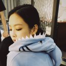 제니스토리