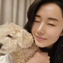주식회사 바른채