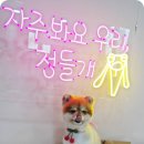다온리치
