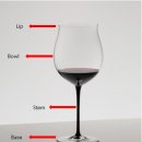 [단일과정] 와인소믈리에 이미지