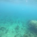 섬바다 | 코타키나발루반딧불투어후기 만따나니 섬 스노클링 에메랄드 바다 반딧불