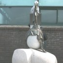 다림체육관 이미지