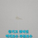 래미안메가트리아207동 건너편(2) | 뜯기고 찢어진 벽지보수 부분보수