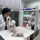 나은동물병원 이미지