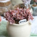 홍쥬스컵 이미지