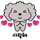 달달한하루 이미지