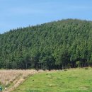 성불주차장 이미지