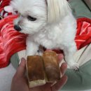 제리식탁 이미지