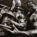 스마일헬스 이미지