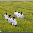 말천방들노래 이미지