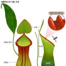 사계절과일