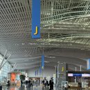 새보람약국 | 혼자 치앙마이 上 (Day 1 ~ 3)