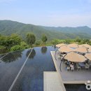 나오라쇼 공연장 이미지