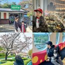 에어부산 | 인천 도쿄 항공권 NOL 놀에서 최저가 예약 + 일본여행 에어부산 이용 후기