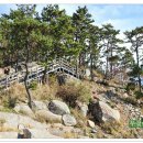 개도 사람길 이미지