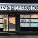 빼로독 강아지분양 의정부본점 이미지