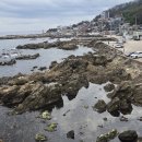 영덕의 블루로드를 걸으면서 읊조린 김지하 시인의 ＜ 빈 산＞ 이미지