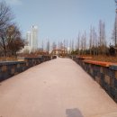 해돋이조경