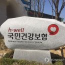 Ⅲ 외국인의 국민건강보험 자격상실에 관련 내용-한국 내에서 근무하는 외국인의 직장가입 제외 신청 이미지