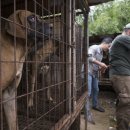 김성광 농장 이미지