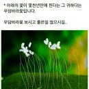 사오회 "바람난 여행" 사진 및 회원 연락처 등 이미지