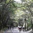 다산생태공원[능내-1] 이미지