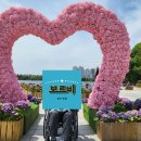 한울휠체어 이미지