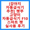 [강아지 자동급식기 추천] 펫쭈 고양이 자동급식기 F10 스마트 펫 실사용 후기