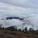 노고단-16 이미지