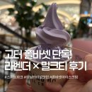밀크컨셉강남 | 폴바셋 강남터미널점 라벤더 밀크티 아이스크림 솔직 후기 I 메뉴 가격 총정리