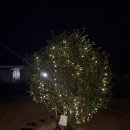 서광이지 이미지