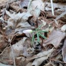 곰배령 팜스테이 이미지