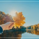 위드유정신건강의학과의원 이미지