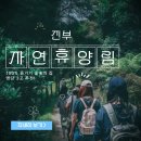 국립진부령 자연휴양림 100% 즐기기 숲속의 집 명당 3곳 추천
