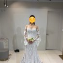 제너머골 세천 | Wd D-255. 셀렉션H 촬영 드레스 가봉 후기