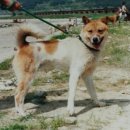 창용농장 이미지