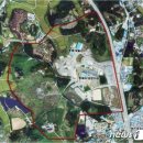 밀레니엄 이미지