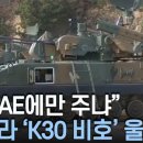 우크라이나...이번엔 'K30 비호' 안 준다고 울분 이미지