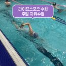 라이프스포츠 | 수원 자유수영 정자동 라이프스포츠 주말 자수 후기 (촬영가능 수영장)