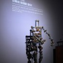 주식회사창조실내건축 | [속초 실내 가볼만한곳] 피노디아 테마파크 후기, 속초 여행 비 오는 날 코스 추천